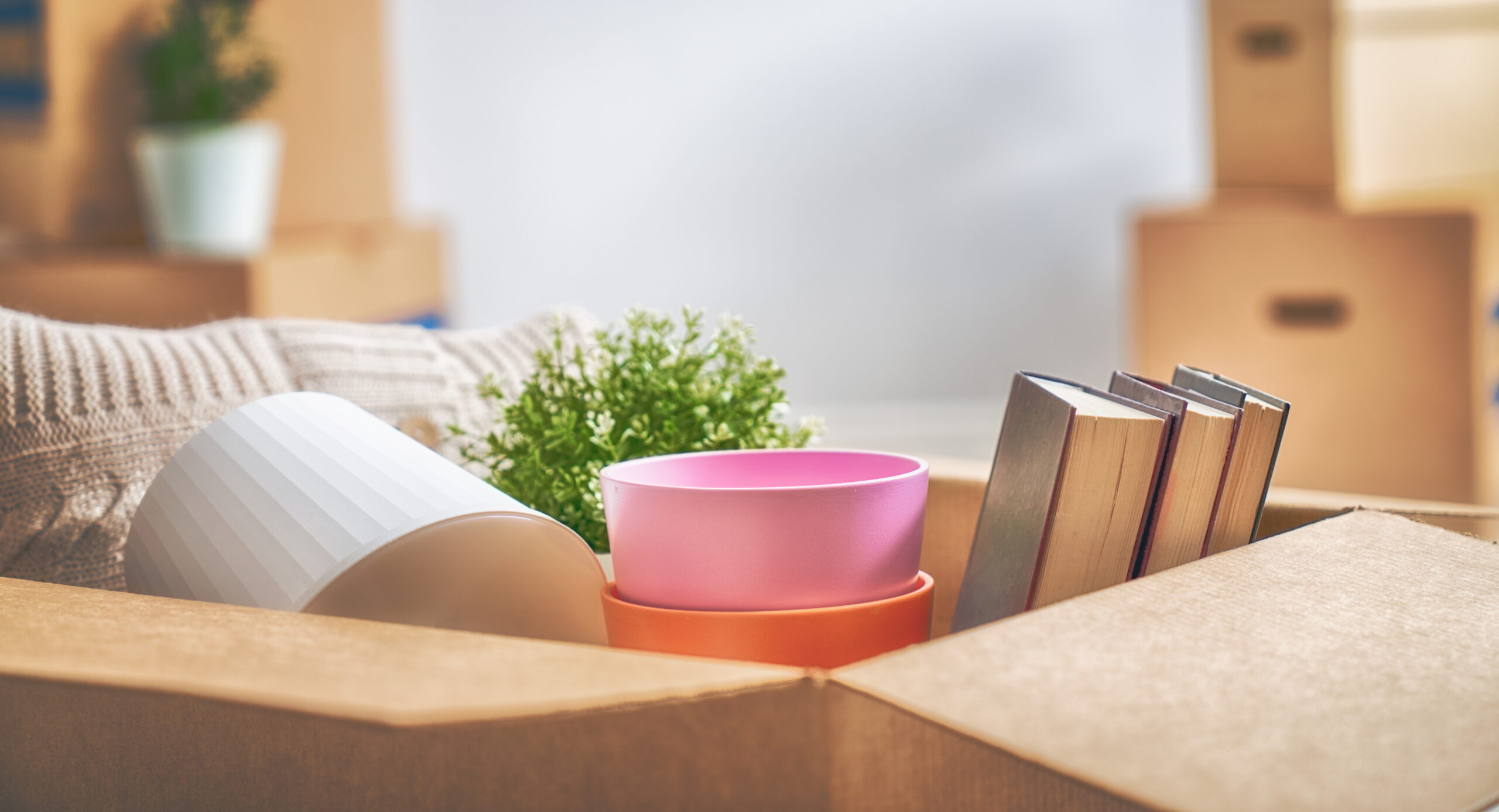 cardboard boxes in room 2026 01 05 23 36 26 utc scaled