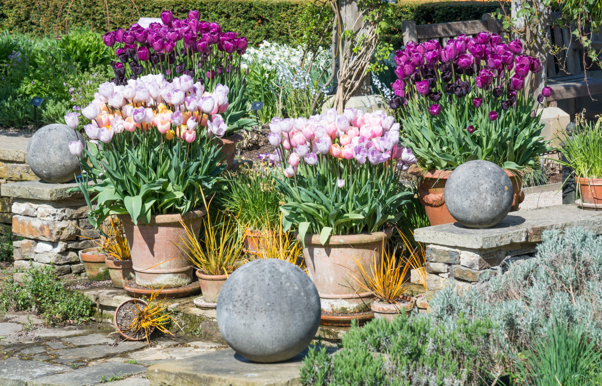 Home 11 garten mit blumen im frühlin